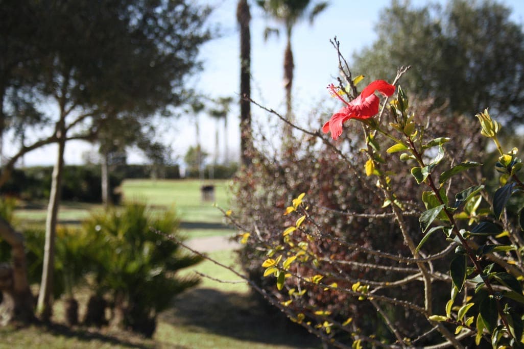 Urbanización Atlanterra Costa